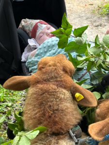 Kindergarten Kinderabenteuerhof Kindergarten Kinderabenteuerhof